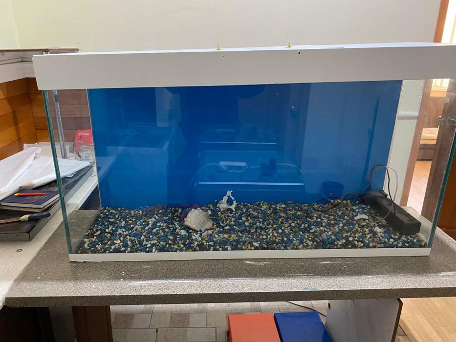 аквариум аквариум аквариум