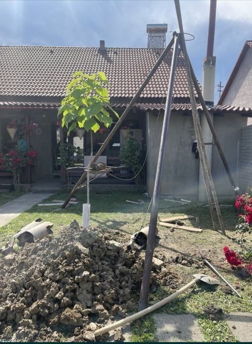 Execut foraje puturi de mica și mare adâncime