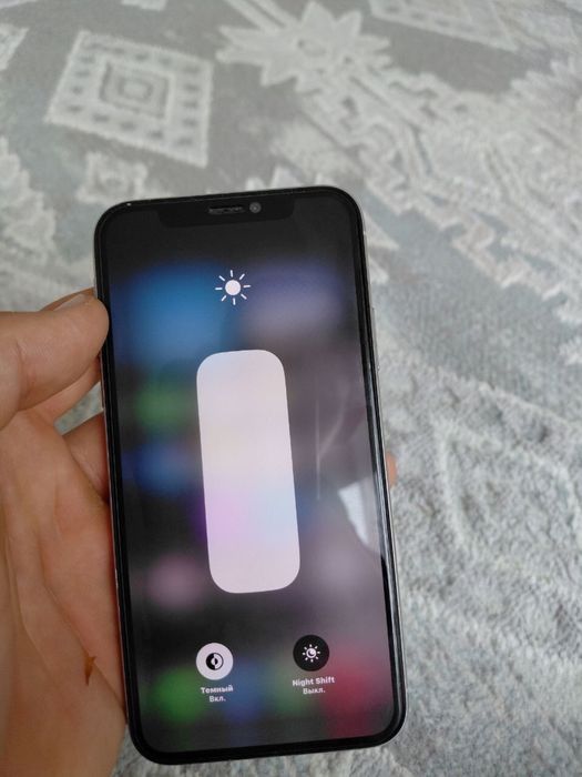 iPhone X 256/100%