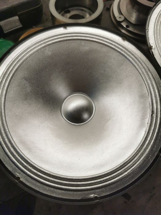 Говорители 10 инча  (тонколони)