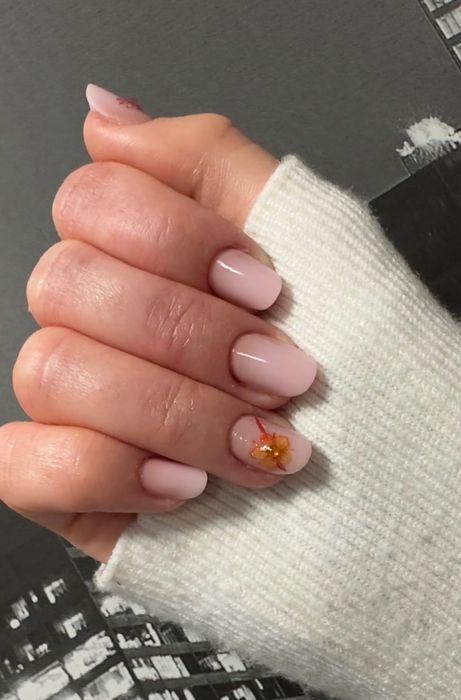 Unghii cu gel Brașov