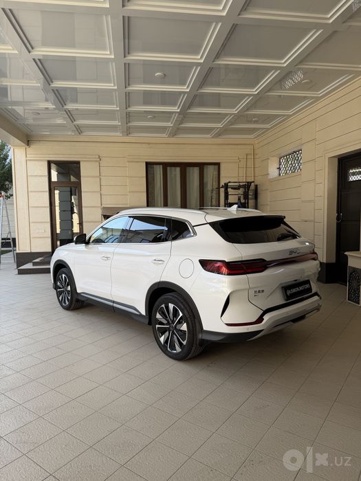 Byd champion restyling 2025/2025