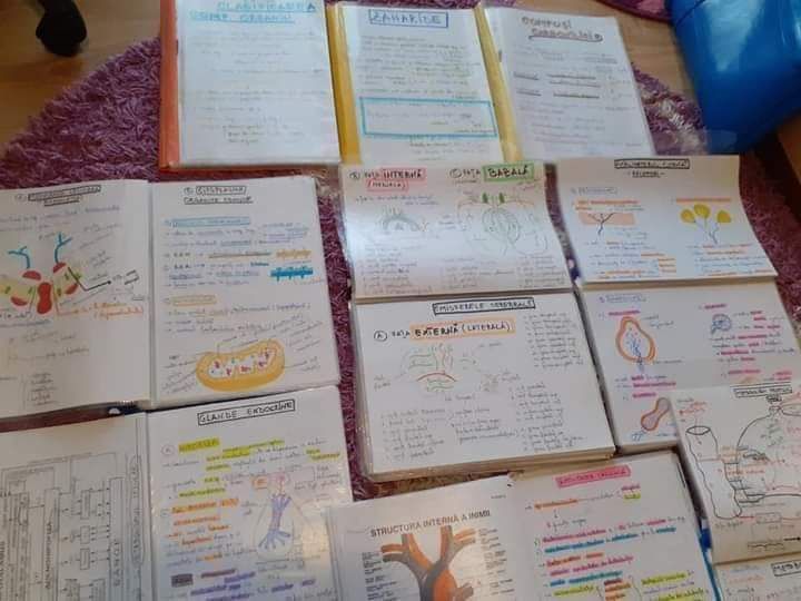 Portofolii admitere medicina