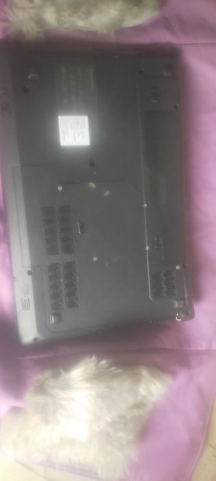 Сатамын срочна .