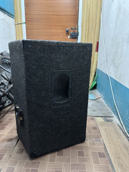 Профессиональная акустика колонка