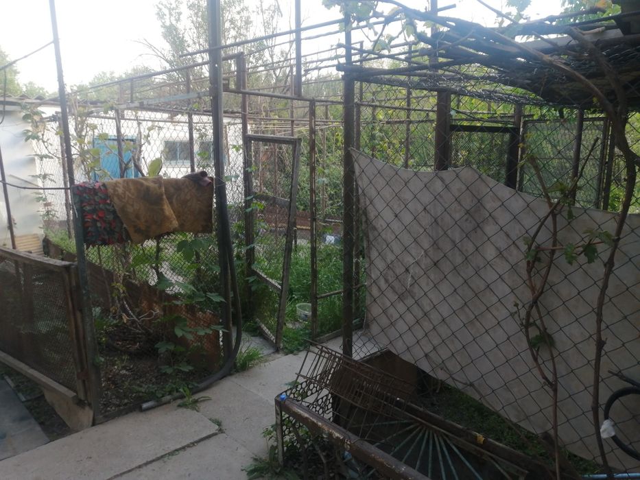 Дача. Район Чолдала