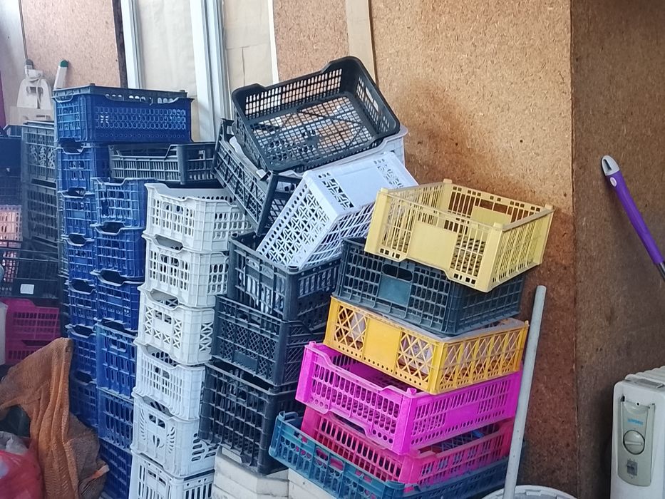 Продам овощные ящики пластиковые по 50 тенге