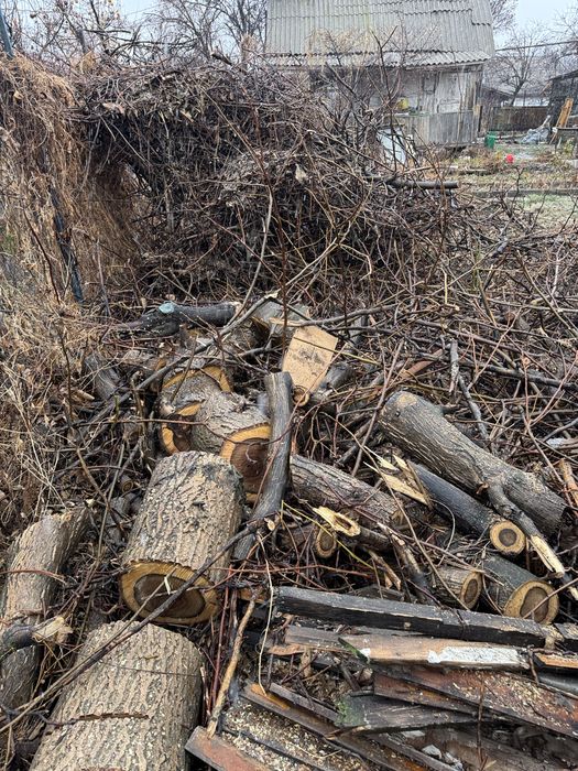 Дрова ореха бесплатно