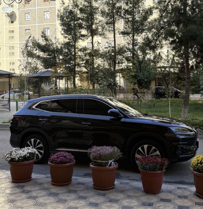 BYD Chempion 2023 45 min probek toza qora