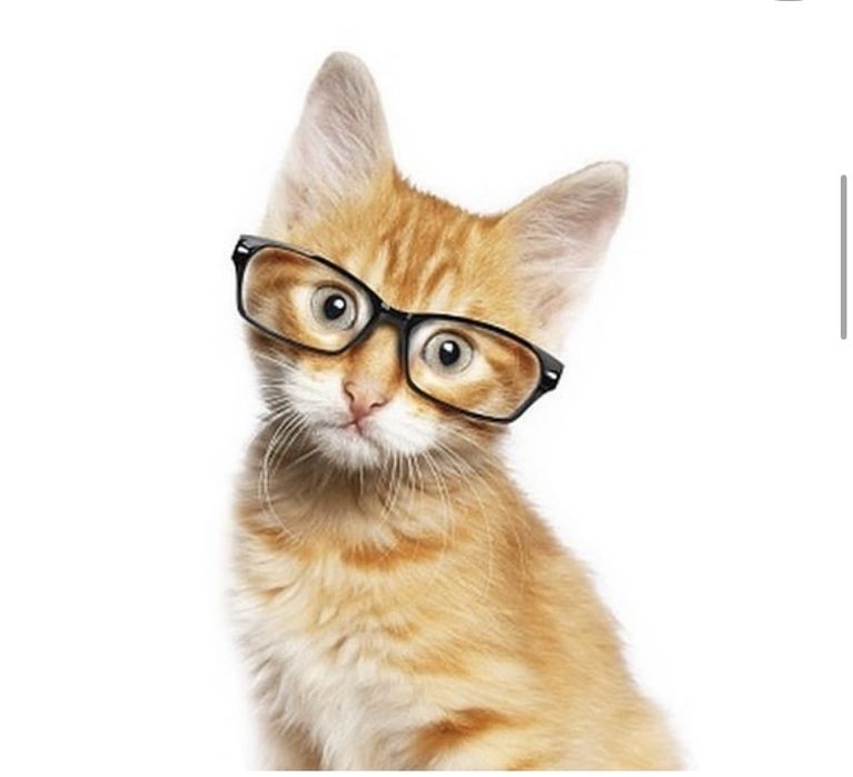 Ветеринарный врач на дому 24/7