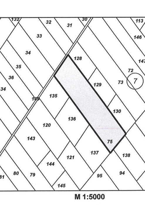 Продава се Земеделски имот в Асеновград -  кв.м за 1943 €/дка - Снимка #8