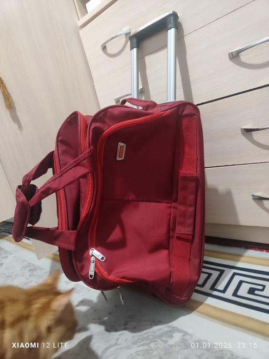 Сумка на колесах