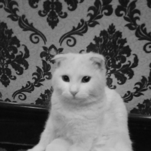 Mushukcha yuqolib qoldi qiz bola  mediapark ruparasi topgangan mukofot