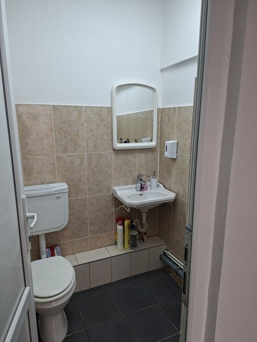 Spatiu comercial Pictor Aman