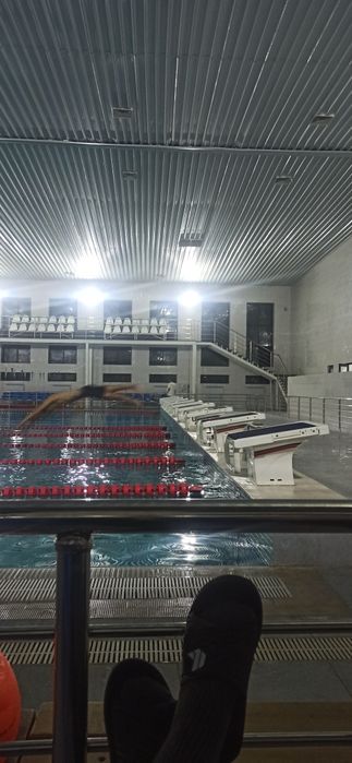 Катталар ва болалар учун сузиш машгулоти