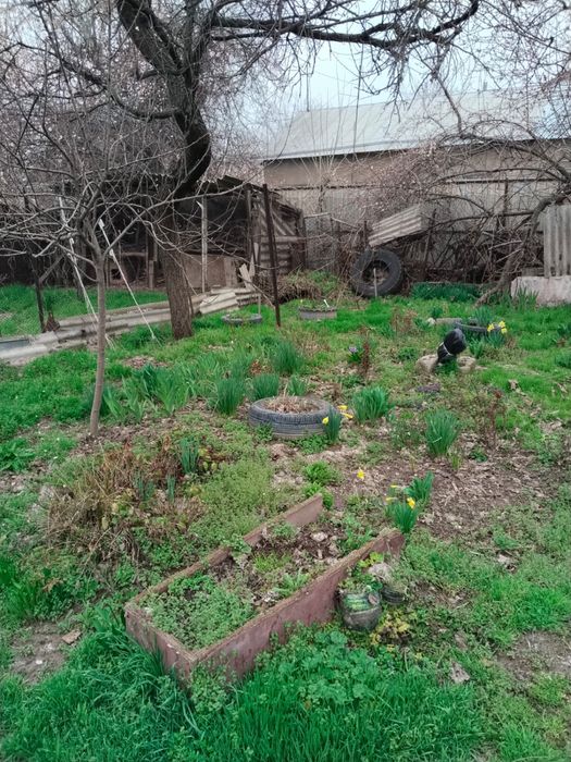 Продажа дома в районе «Роща»