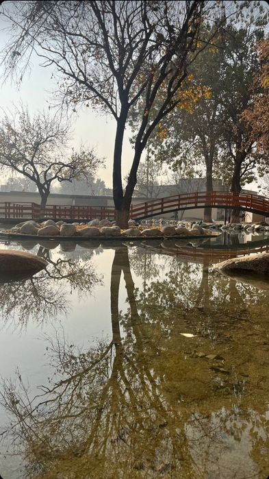 Sharshara fontan водопад пруд