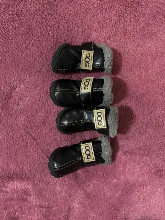 Одежда для собак.