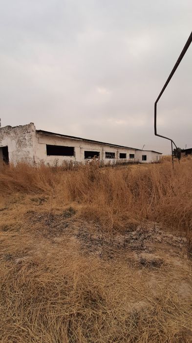 Срочно продаётся 4.5-гектар Туйтепа готовий бизнес