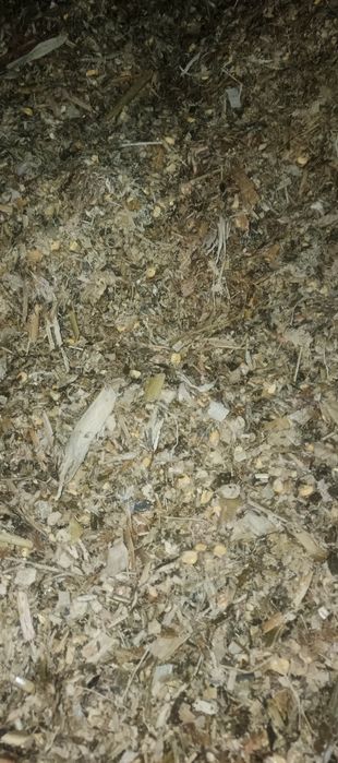 Макка силос сенаж сенаш синаш сенаш маккажўхори ўт беда самон прес