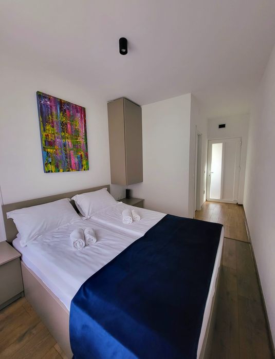 Cabana moderna cu ciubar-jacuzzi de inchiriat Suncuiuș