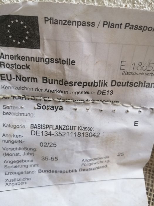 Картофи Семе Сорт Сорая