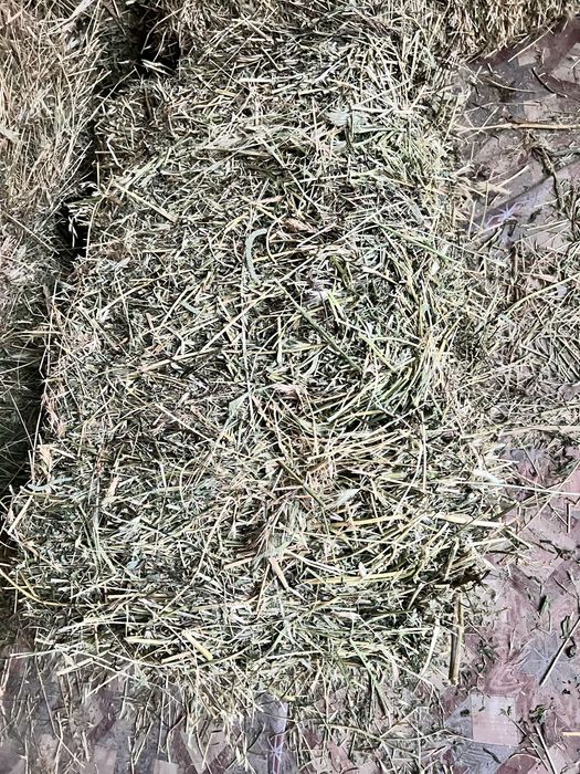 Беда сотилади 30.000