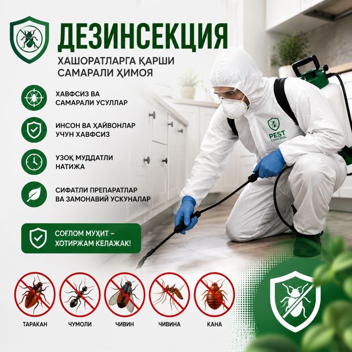Тараканы, клопы, мухи - комары или крысы дома? Решим за 1 день!