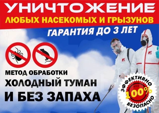 Дезинфекция Дизинфекция Дизинфексиялапа и таракан