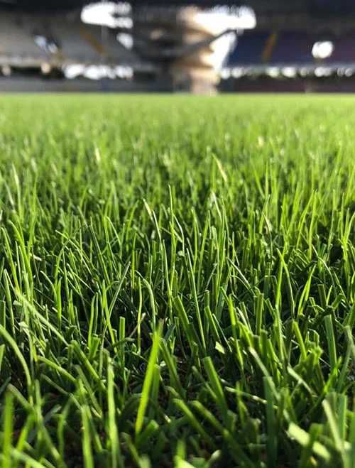 Искусственный газон всех видов.