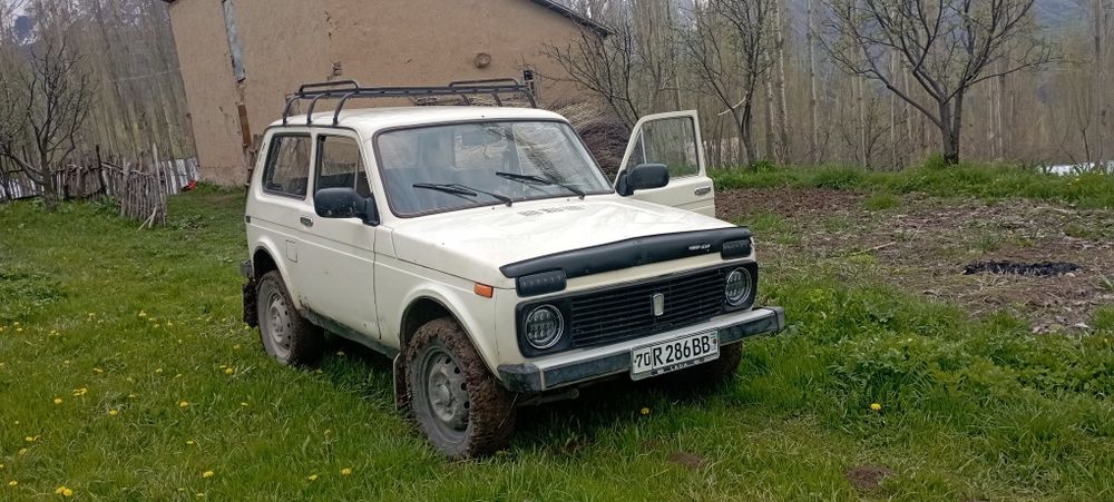 Нива родная краска