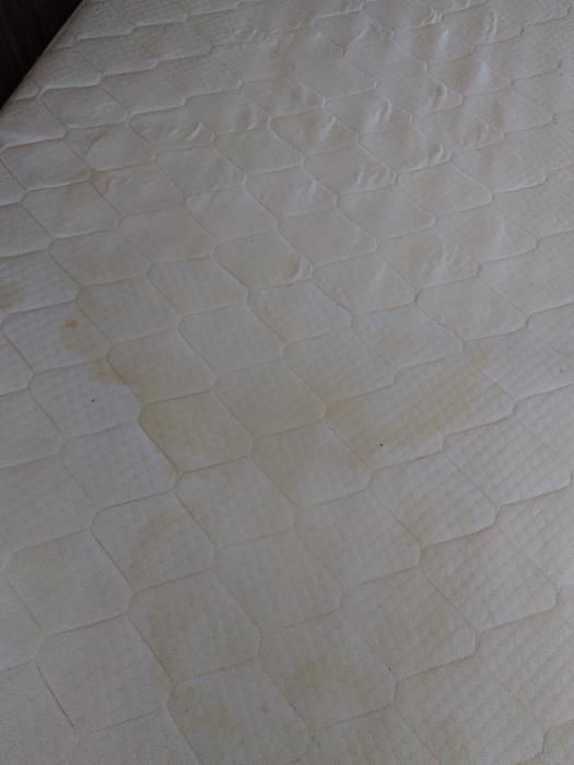 Почистване с Рейнбоу