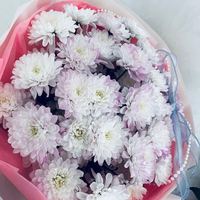 Харизантема, 33шт