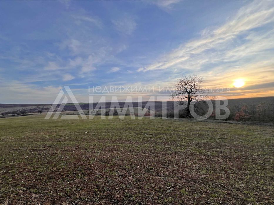 Продава парцел 5 дка в регулация между селата Мировци и Писарево.