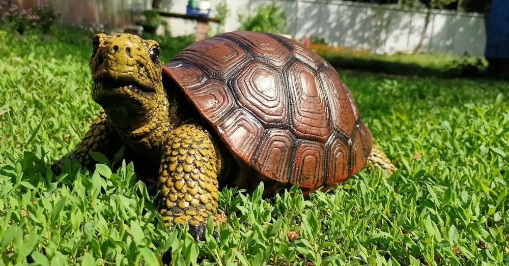 Черепаха садовая фигура