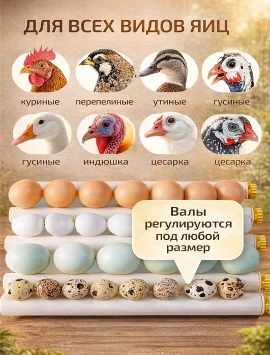Инкубатор  Автомат  Заводской