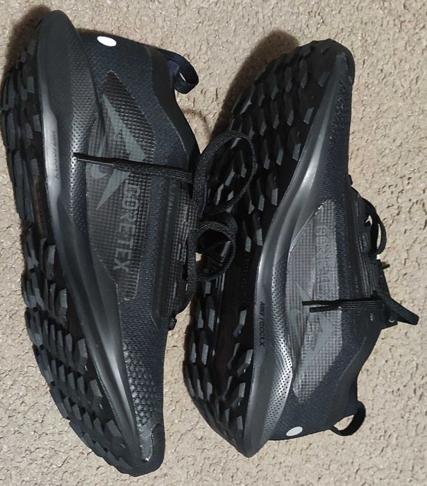 Nike Pegasus Trail 5 Gore-Tex