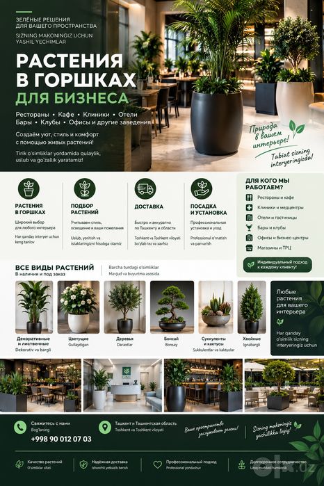 Самшит  растения