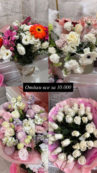 Цветы розы свежие