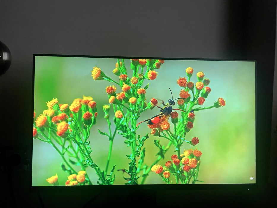 Монитор Dell P2719H – 27-инчов