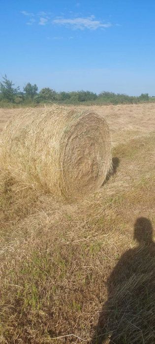 Baloți rotunzi de fân