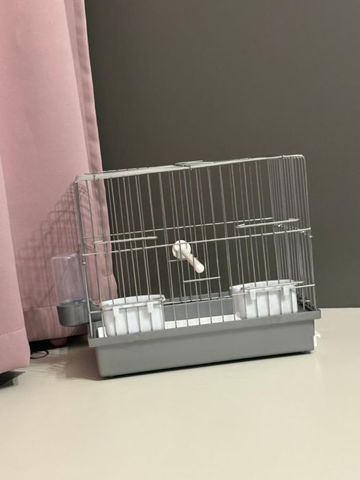 Канарейки,щеглов,репла  клетка