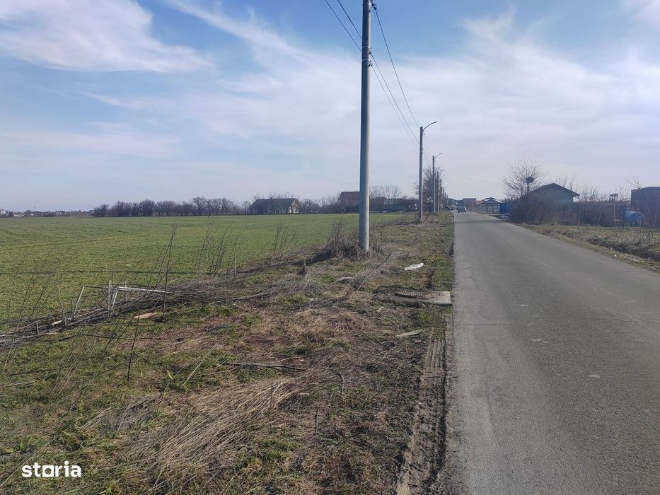 Cernica Tanganu super pret rezidential sau depozitare