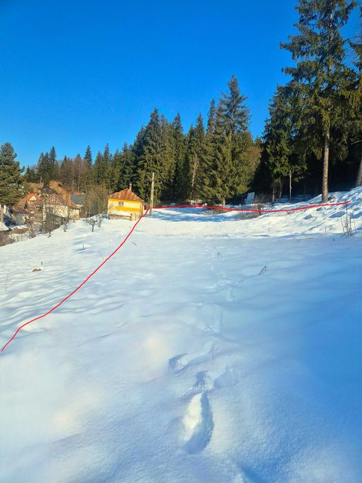 Teren cu vedere panoramică în Sațiunea Borsec