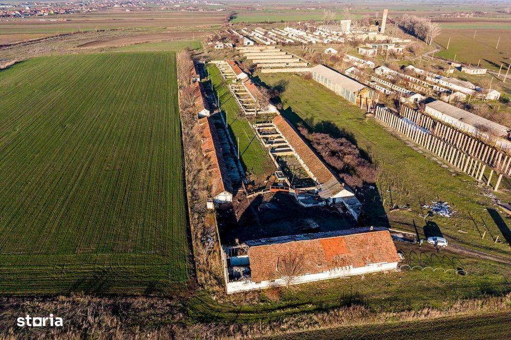 NĂDLAC | Teren 1.15 HA lângă Autostradă | 2.500mp Hale