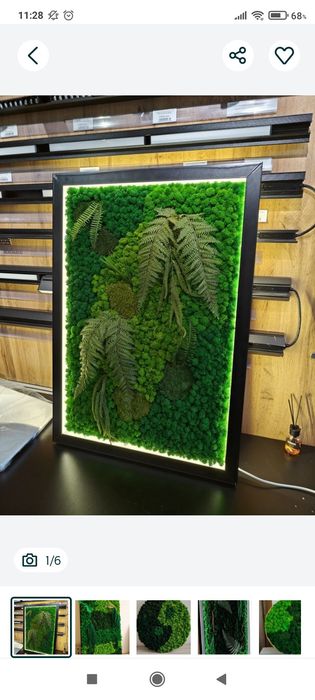 Озеленение стабилизированным мхом