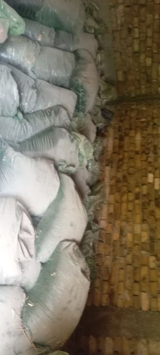 Биогомус biogomus