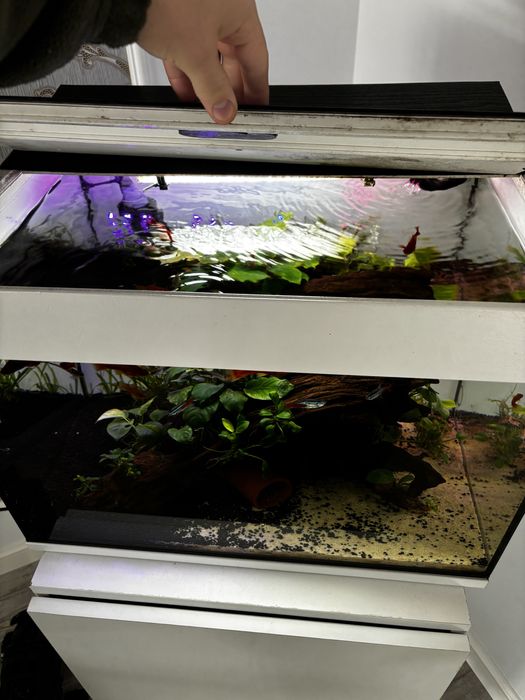 Acvariu 100l pompe/ pesti/ cioata/plante/ultraclrear