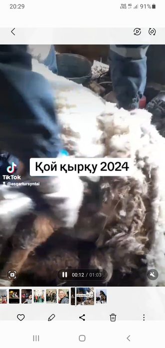 Қой ,ешкі қырқамын. Барлық ауыл-аймқтарға барамын.