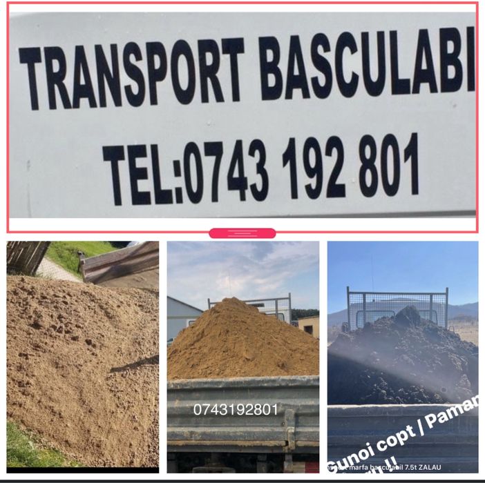 Nisip /piatra/ tavalug tasare  gazon / pamant gazon / gunoi ciuperci/